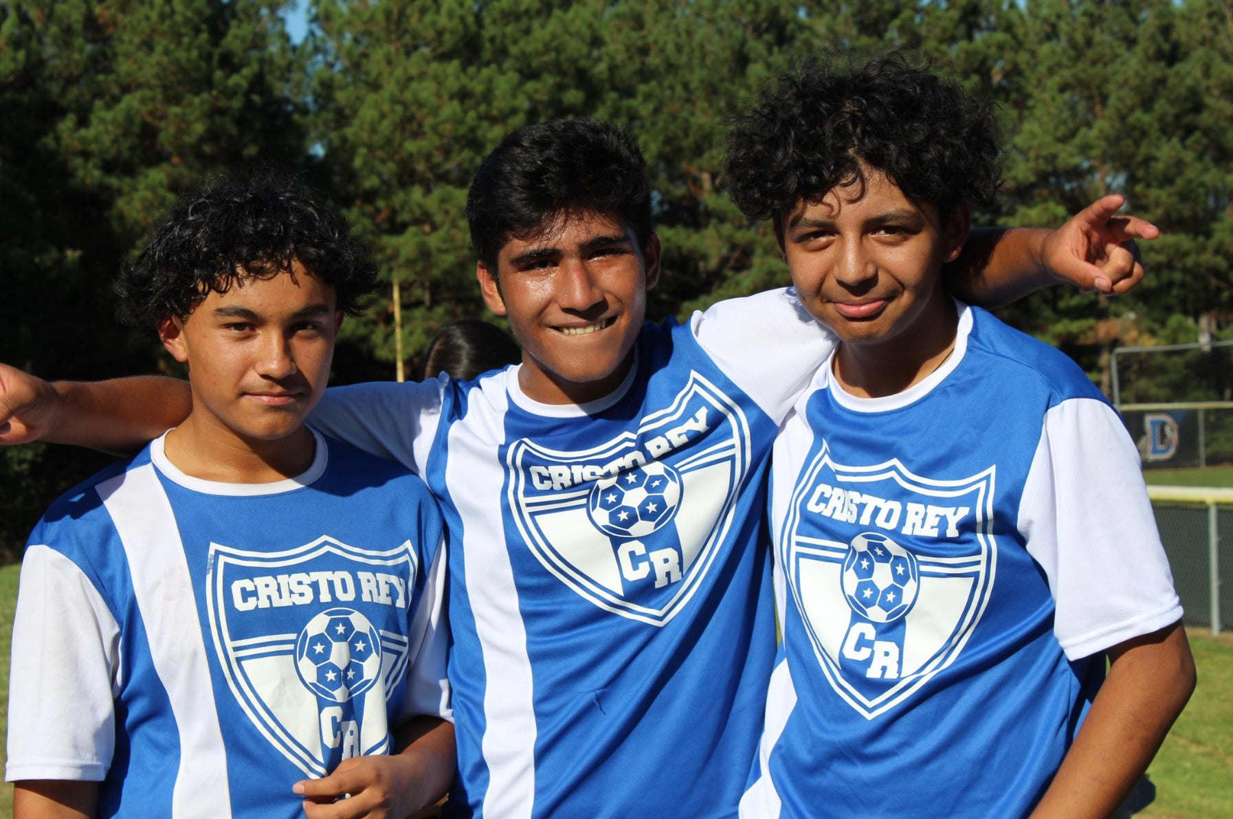 Lemon - Your Print & Design Studio