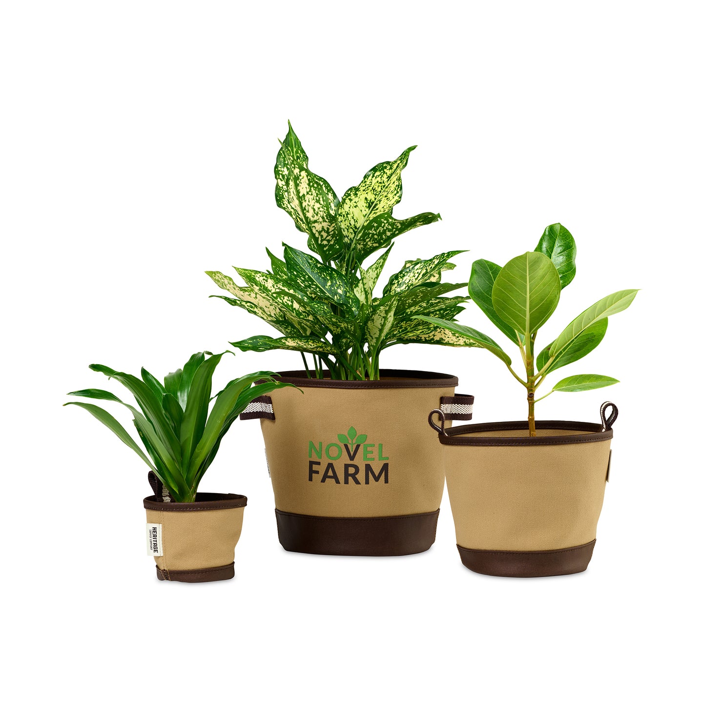 Heritage Supply™ Plant, Grow and Store Trio of Pots - Dune | Custom Branded | Lemon Print