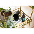 Modern Sprout® Plant Parent Care Kit