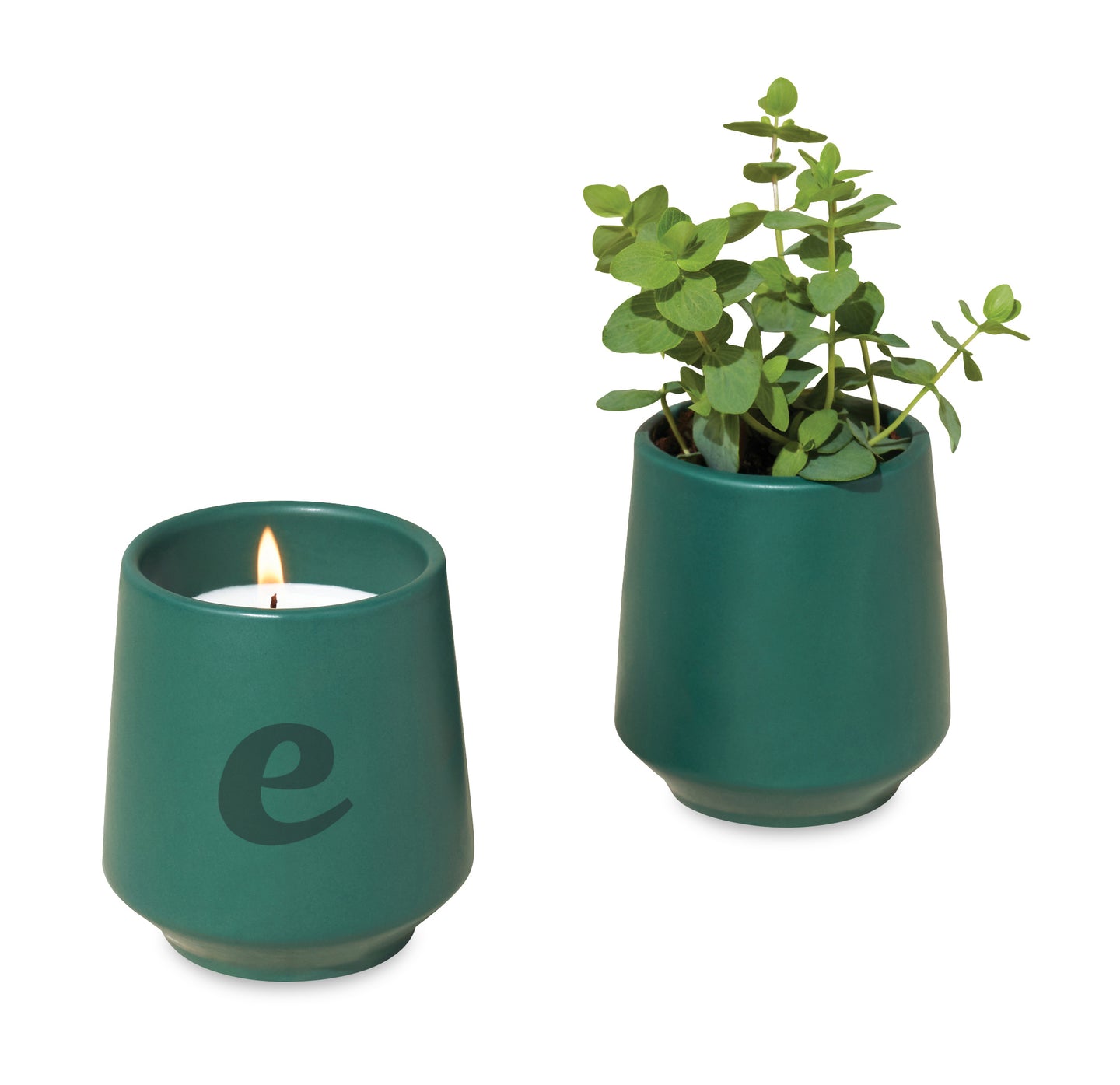 Modern Sprout® Rooted Candle