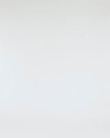 Columbia Men's PFG Tamiami™ II Shirt - 212467